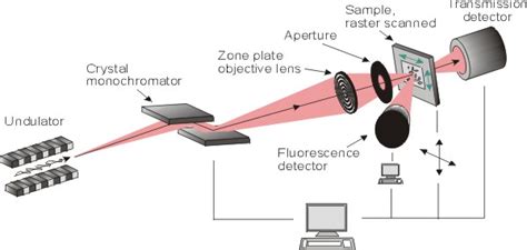  X-Ray Microscopy: Unveiling the Invisible World