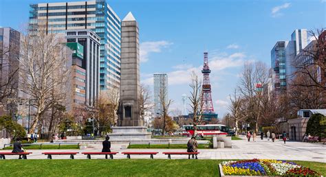  Knee Deep in the Blue: Unveiling the Quiet Splendor of Japan