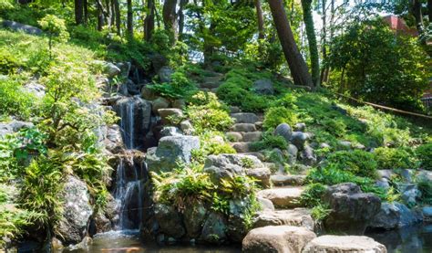 東京 自然スポット - 都会の真ん中で見つける緑のオアシス